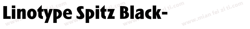 Linotype Spitz Black字体转换